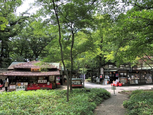 神代植物公園 水生植物園 深大寺 蕎麦きよし 青木屋 松葉茶屋 玉乃屋 一休庵 鈴や 鬼太郎茶屋 門前 元祖嶋田家 八起 雀のお宿 多聞 調布 狛江 東京 の旅行記 ブログ By リンリンベルベルさん フォートラベル