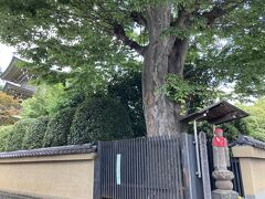 道場寺の三重塔が見えている角にお地蔵さんがあり、
その旧早稲田通りを行くと道場寺の門があります。