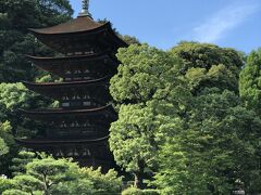 津和野から防府へ向かう途中、「瑠璃光寺」に寄ってみました。
大内氏が建立したもので、ずっと見たいと思っていた塔です。
バランスが良いのか、色合いが良いのか、綺麗な姿です。