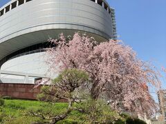 大阪市立科学館