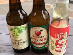 宇宙記念館は閉まっていて売店だけ営業していたので、飲み物だけ購入。
目的地は平取でとりあえず小樽、札幌の方へ