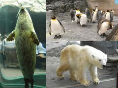 旭川空港からバスで旭山動物園へ。初めてでしたのでやはり楽しかったですね。皆さんの素敵な旅行記があるのでここでは省略。バスで旭川駅に戻り、さらに路線バスで約2時間かけ層雲峡へ。これが辛かった！（高速バスではない）普通のバスなので乗り心地も悪いし腰は痛くなるし。車がベストですが、公共交通で向かうなら上川まではJRの方がいいでしょうね。