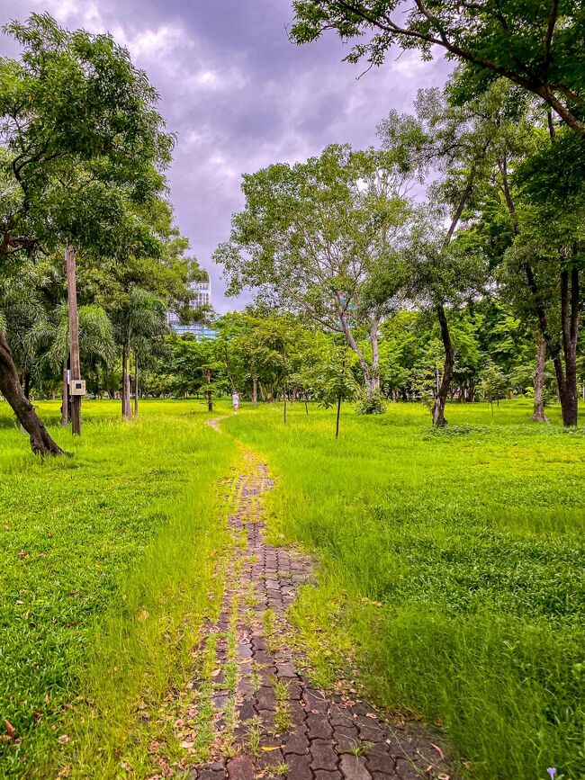 蚊に刺されそうだが、小道を行く