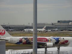 ディズニーの飛行機が見えたので、パシャリ。
これJALの中で一機しかないそうです。