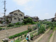 2021.6.24　木　ＡＭ11：48　長法寺七ツ塚古墳 一号墳
 京都府長岡京市長法寺北畠１０－１０　　Ｐ＝周辺適当
１～７号墳まで築造され３号４号墳は発掘後消滅し住宅に転換。
７号墳は区画のみ保存でアクセス小道も無く標識も隠されている。