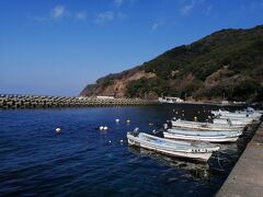 民宿は固まって数軒あるけど、それ以外は何もない静かな漁村の神子。
常神半島の先にも行ってみたけど、きれいな海があるだけの風景は同じでした。