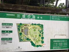 神社のお隣が、三宿の森という公園になっています。