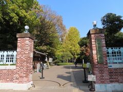 【東京芸術大学】

仕方がないので　もと来た道を戻ります　
芸大の正門前を通り過ぎます　