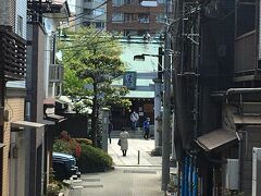 土手からちょこっとだけ見えた住吉神社。