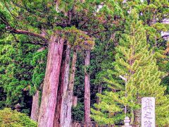 【奥の院　一の橋】

弘法大師様が御入定されている聖地(^^)

御廟への参拝ルートは「一の橋コース」と「中の橋コース」があり、「一の橋コース」が本来のルートで荘厳な雰囲気を味わえるそうです…

「一の橋」から御廟まで２km弱ですね…

