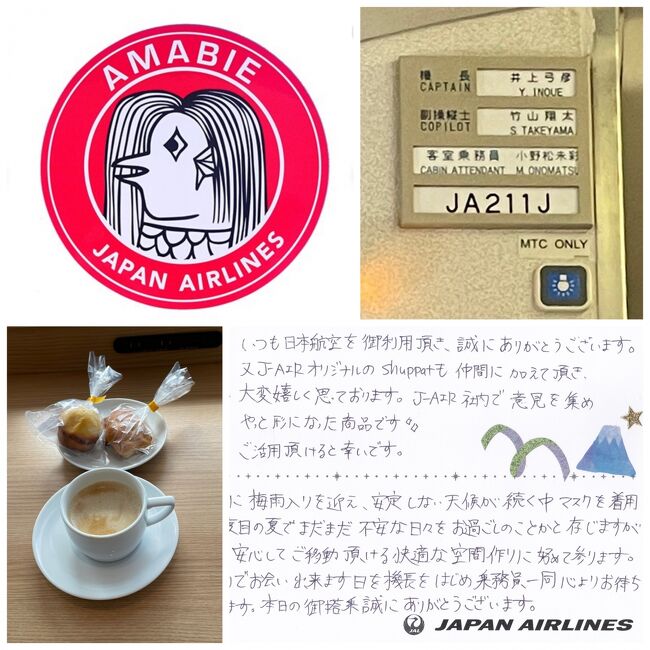 梅雨の中、コロナの緊急事態宣言は延長延長。飛行機も運休運休です。<br />今日の飛行機はアマビエジェットでした。CAさんがアマビエのグッズが何もなくて申し訳ないとメッセージカードを書いてくださいました。ありがとうございます。<br />JAIRのアマビエジェットでした。