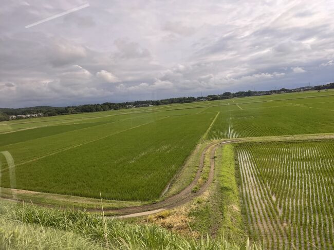 田園風景が続きます。さすが米どころ！