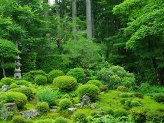 客殿の庭園は聚碧園と呼ばれている池泉観賞式庭園です。　奥行きがあり、普通に眺めたら見えなそうな奥まできちんと手入れされてる感じでした。