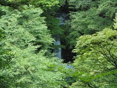 小泉の滝は木々の間から。冬ははっきり見えましたが、やはりこの季節は葉生い茂ってかなり隠れています。