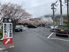 続きましては鬼石坊主地獄へ

桜がちょうど見頃でした