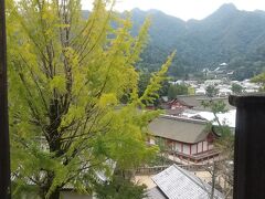 帰り道、ぶらぶら歩いて豊国神社にきました。ここは豊臣秀吉が作った(正しくは作れ!と言ったですね)
神社です。