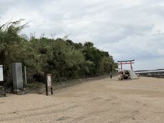 青島にやってきた。
昭和30年代、宮崎は新婚旅行のメッカであり、青島はその目玉ともいえる観光地だった。
宮崎観光の父といわれる宮崎観光の岩切章太郎は、県内の観光地を整備し、幹線道路のロードサイドにフェニックスを植えて南国ムードのリゾート地を演出した。
海外旅行が一般化する前、宮崎はいわばインスタントハワイだったのだ。