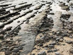 また、島を取り巻く波状岩は、これと別に天然記念物に指定されている。
青島の隆起海床と奇形波蝕痕として『鬼の洗濯板』と呼ばれている。