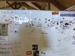 野付半島ネイチャーセンターに到着。
ホワイトボードには野付半島のマップにどんな鳥・動物が見られたか書いてあります。
野付半島の先端にはトドワラがありますが、ネイチャーセンターから先は車で行けません。この日はとにかく風が強くて寒いので、車で動物を探すことに。