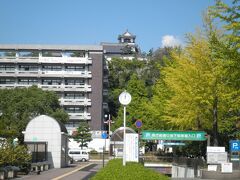 途中「高知県立文学館」を見学（写真は無し。このときは旅行記などまったく想定していませんでした…すいません）。石川啄木展が催されていました。
ここでアンケートに答えますが、回答者の中から入場券送付というのがあって、これに当たって入場券が送られてきました。さすがに福岡からは行けなかったけど…嬉しかったです。

高知文学館から北上して高知城へ。県庁の先に天守閣が見えます。

＊位置情報は高知県立文学館にしています。