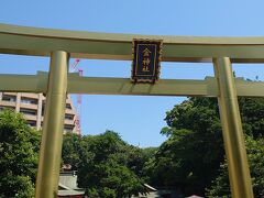 金神社といえば、金の鳥居です！
金神社の名前に由来して、平成27年に金の鳥居にしたそうです。高さ8メートルの鳥居、立派です。