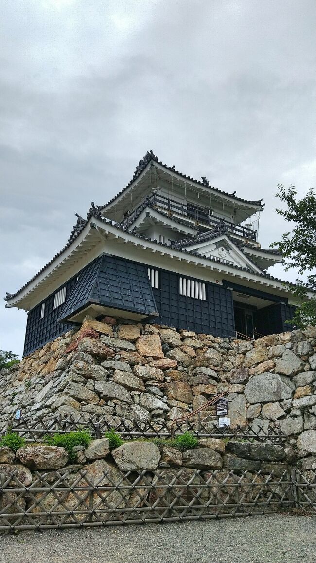 昼飯前に浜松城へ 出張寄り道編 浜松 静岡県 の旅行記 ブログ By ちぃさん フォートラベル