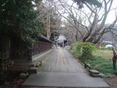 国指定天然記念物の大クスがあるという来宮神社へ来ました。
敷地の入口がどこかわかりにくかったですが、河津中学校側（南側）から入ることができました。