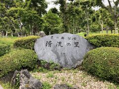 今日の2番目のお目当て、花の都公園です。花畑の中から富士山が聳えるということで訪れてみました。