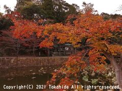 御髪神社

髪結い職の祖、藤原采女亮政之を祀る日本で唯一の「髪」の神社です。


御髪神社：http://mikami-jinja.sakura.ne.jp
藤原采女亮政之：https://ja.wikipedia.org/wiki/%E8%97%A4%E5%8E%9F%E9%87%87%E5%A5%B3%E4%BA%AE%E6%94%BF%E4%B9%8B