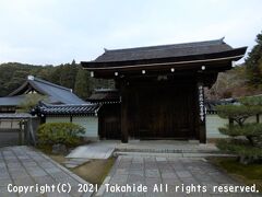 西芳寺

特別名勝に指定された苔で覆われた庭園のある寺です。
拝観する場合は事前申し込みが必要です。


西芳寺：https://ja.wikipedia.org/wiki/%E8%A5%BF%E8%8A%B3%E5%AF%BA
特別名勝：https://kunishitei.bunka.go.jp/heritage/detail/401/1648