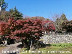 木元寺 (木ノ元地蔵)