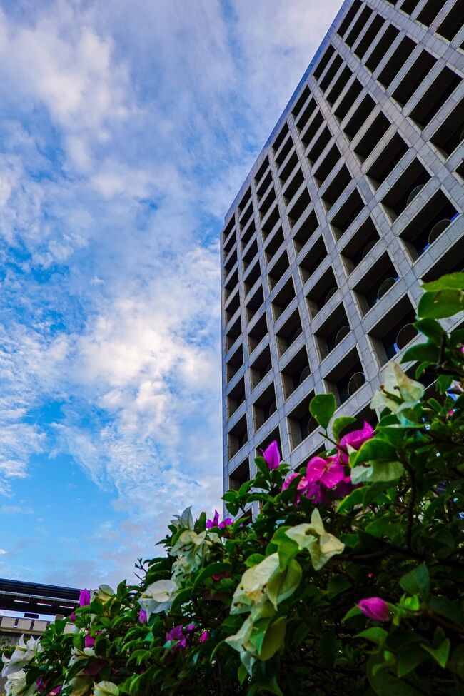 空が澄んでいた