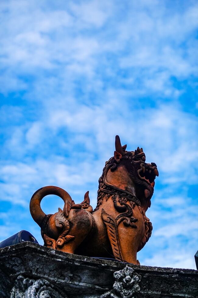 沖縄のシーサー発見