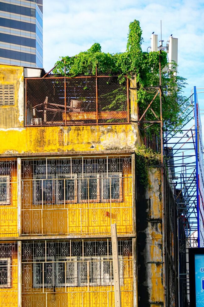 緑に侵食されている屋上