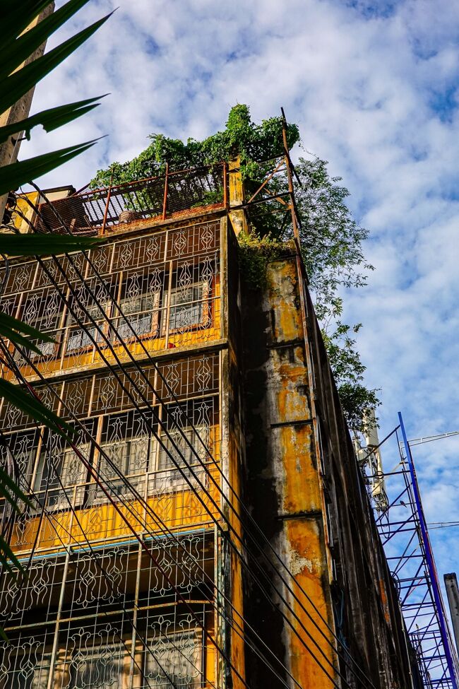 黄色い壁の色と、防犯用の面格子がなんだかオシャレ