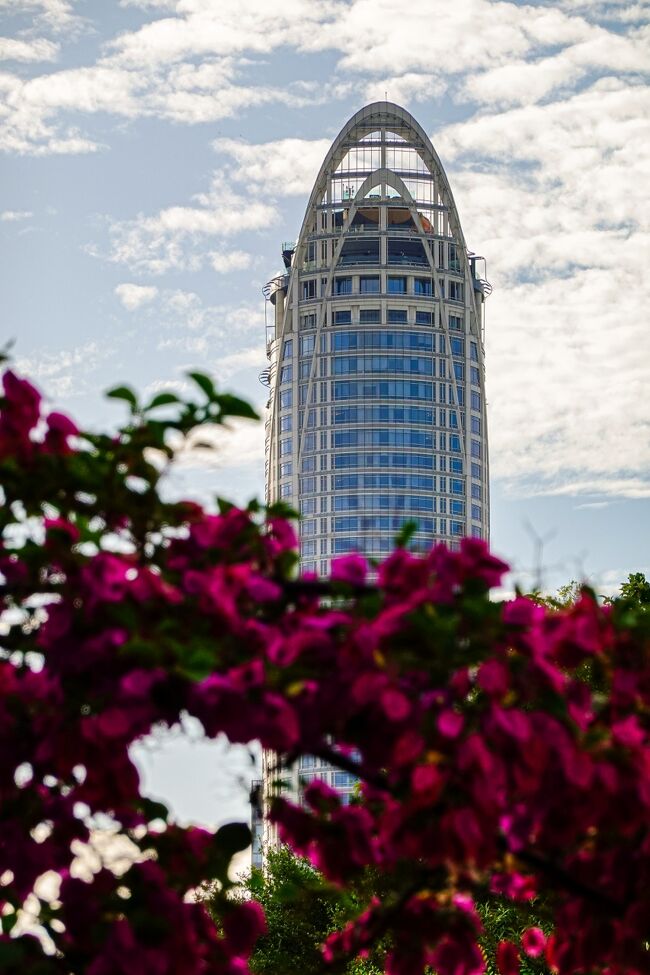 センセープ運河にかかる橋からの景色