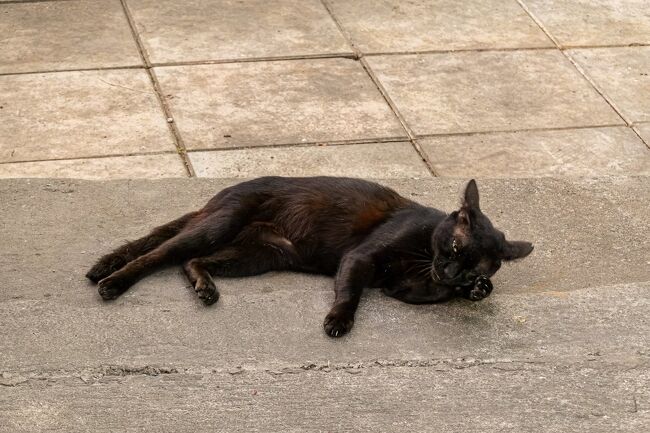 リラックスしていて、まったく無視された