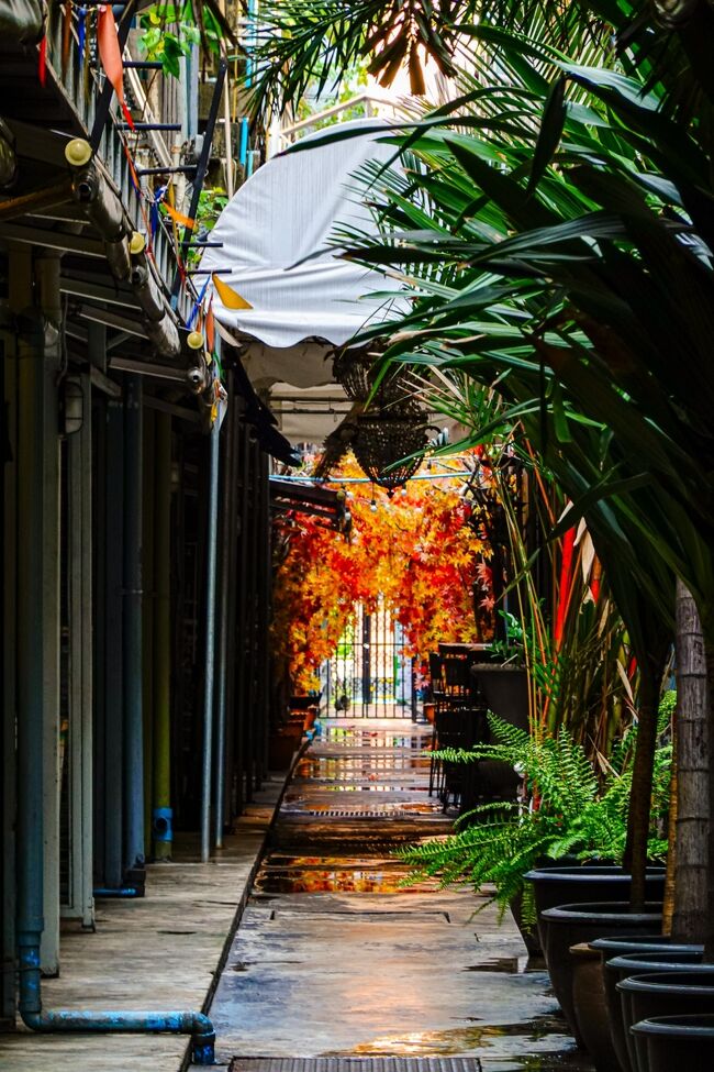 前にも見かけた造花のもみじ<br /><br />過去の旅行記<br />https://4travel.jp/travelogue/11676295