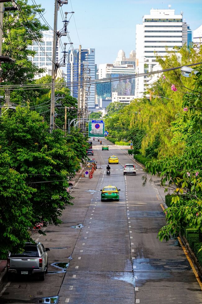 競馬場西側の通り