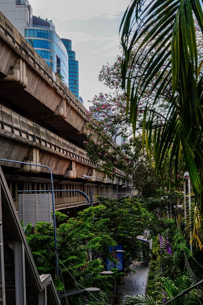 南国を感じる植物が生い茂るラマ１世通り