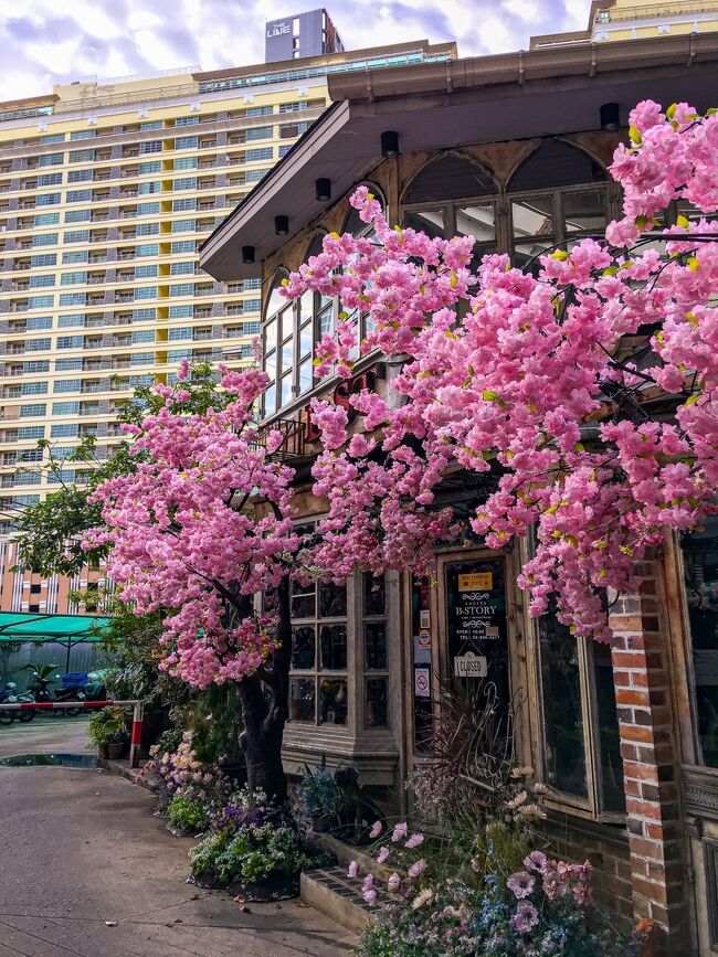 タイ人は、桜＝日本と思うようで、季節関係なく色々な所で造花を見かける