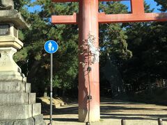 半分ですが、一之鳥居です。