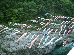 大歩危峡：吉野川中流域に位置する渓谷。訪れたのは5月4日からだと思いますが、大歩危渓谷には鯉のぼりが多数泳いでいました。