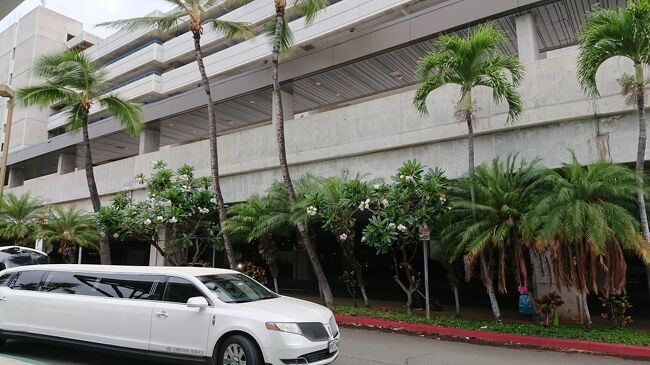 リムジンは、結婚式用で使われてました。