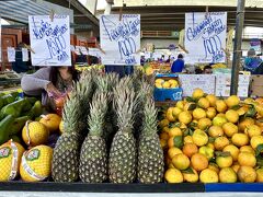 【CEAGESP／セアザ／サンパウロ中央卸売市場】

パイナップルも美味しいぞ～

一人じゃ食い切れねぇ～から、買わんけど...