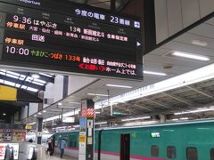 東京駅9:36発の新函館北斗行き「はやぶさ11号」に乗車するため、ラッシュが一段落した東京駅にやって来ました。

普段、東北新幹線に乗車する際は特急券が210円安くなる上野駅を利用することが殆どなので東京駅から乗車するのは久しぶりです。