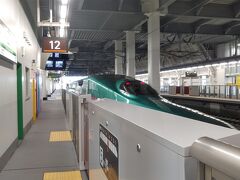 新青森から約15分、14:15に奥津軽いまべつ駅に到着しました。
新幹線の秘境駅とも言われてますが、どれどれとホームに降り見渡すと自分の他1名しか下車しませんでした。
乗車は判りませんでしたが新幹線は北海道を目指して発車していきました。
