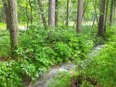 ２日目（土曜日）
前日の予報では今日も雨と言っていたけど、奇跡的に晴れたー！！！
という訳でゆっくりする事なく、さっさと支度を済ませます。