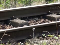 【近江鉄道多賀線の締結装置】

２ブロックのPCマクラギに見たこともない締結装置が使われています。
分類としては「線バネ」系に属するのでしょうか。手にとって見てみたいものです。