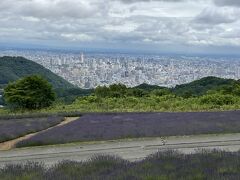 高い授業料を払ってホテルを後にしました。帰りはお天気が悪くならないうちに幌見峠へ。名前の通り、幌見峠は札幌が一望できる場所。